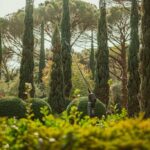 Élagueuse télescopique en action dans un jardin